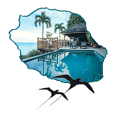 NC Immobilier